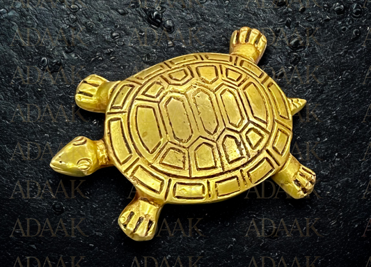 Adaak’s Golden Harmony Tortoise with Rectangular Shell Design