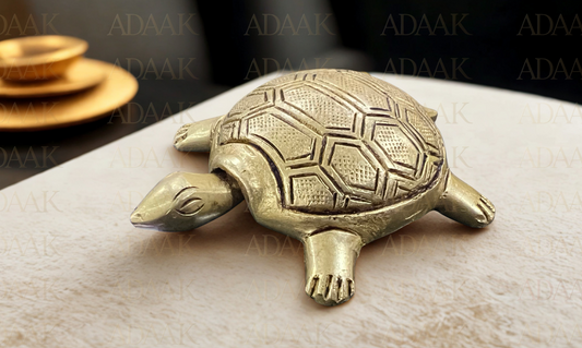 Adaak’s Dynamic Tortoise with Moving Head