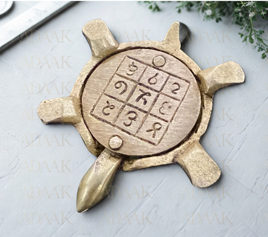 Adaak’s Dynamic Tortoise with Moving Head