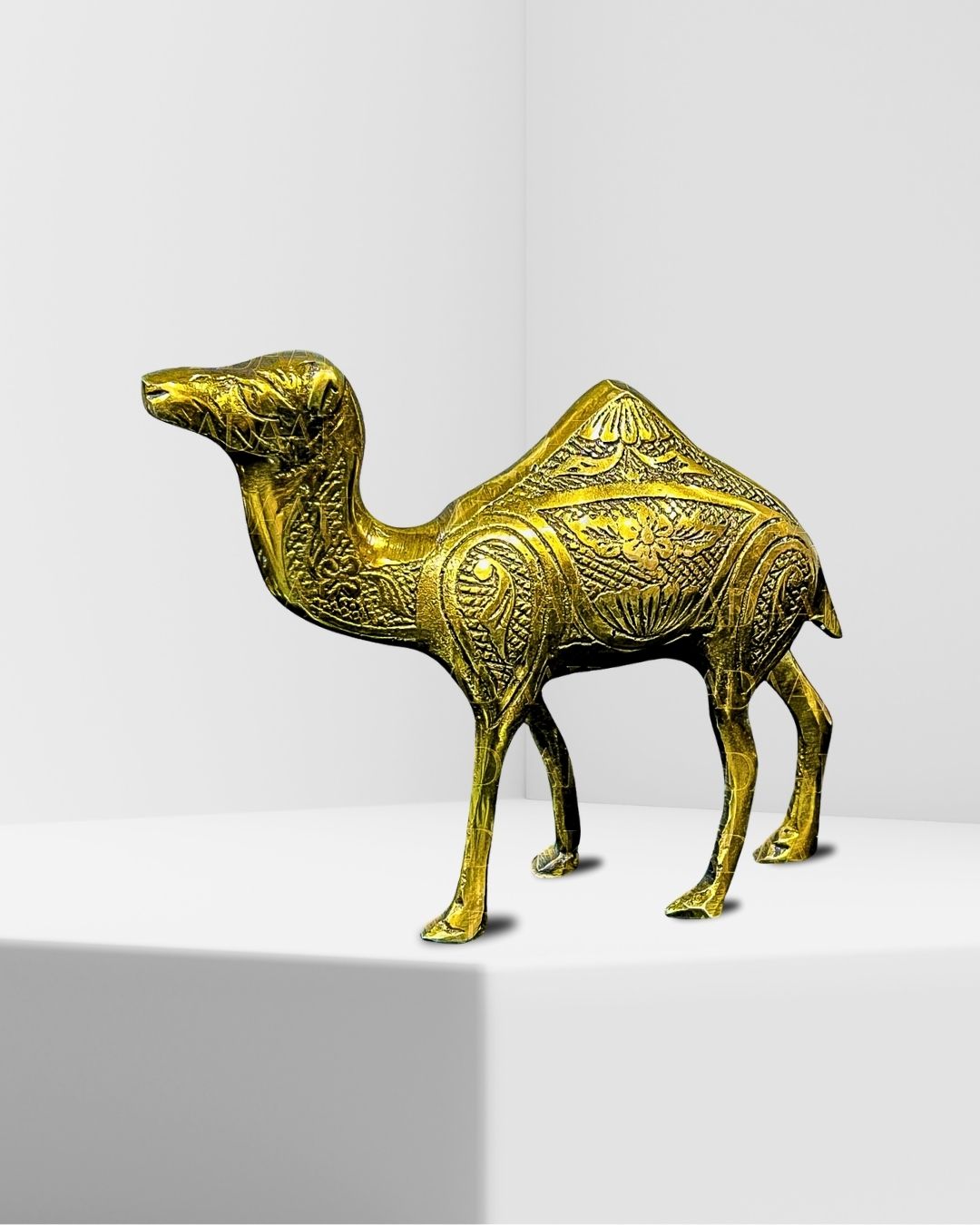 camel
