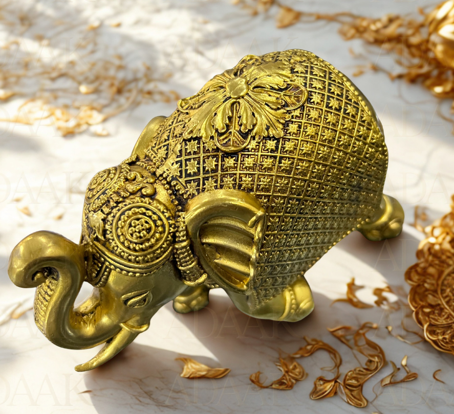 elephant big top view