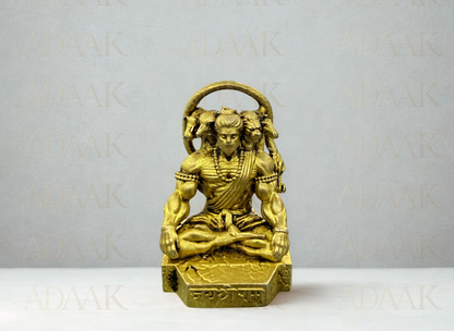 Brass Hanuman Samidhi