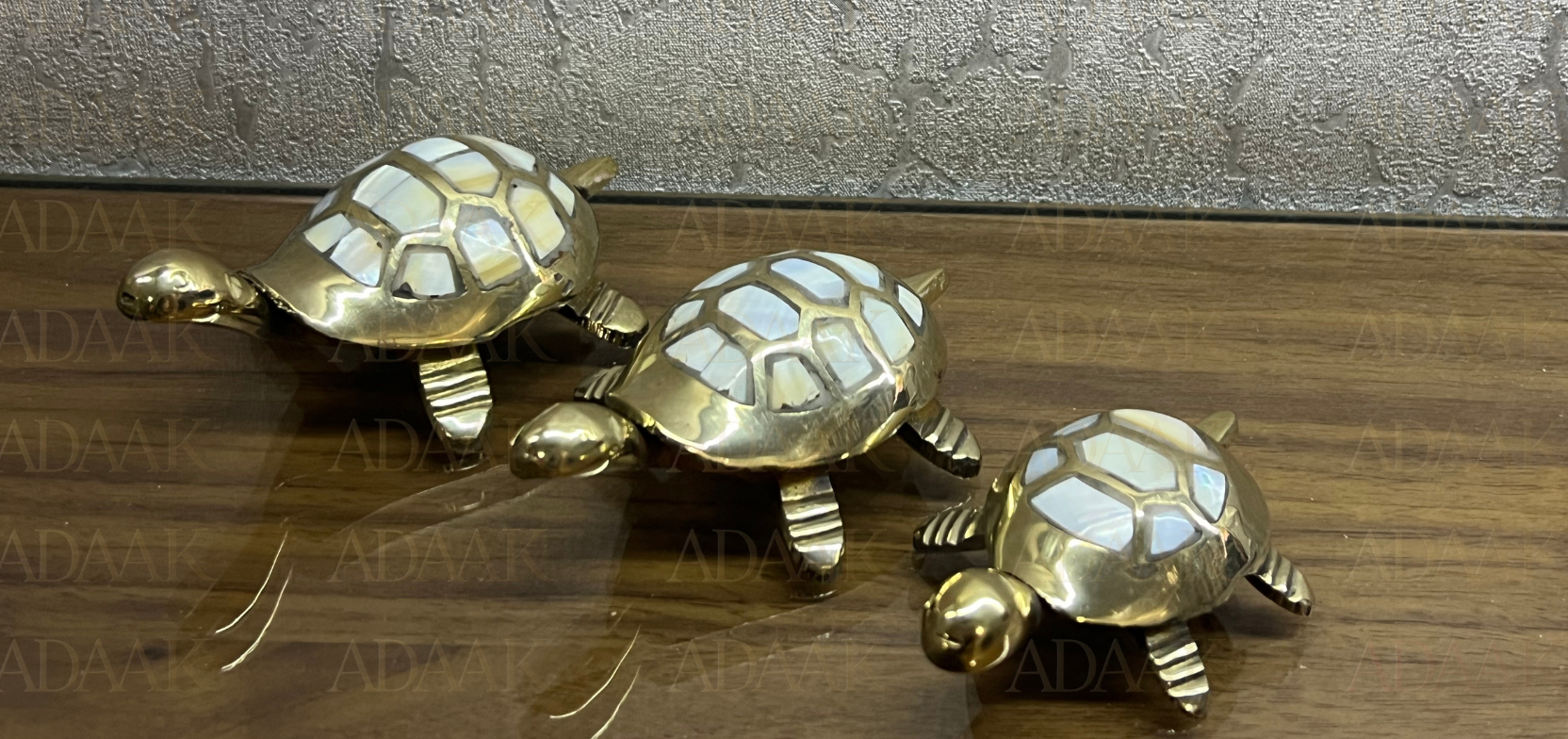 Best Place To Buy Tortoise Online