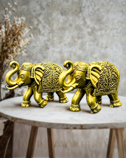 elephant_trunk_up_both