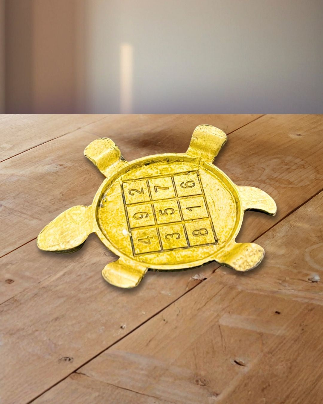 tortoise_back