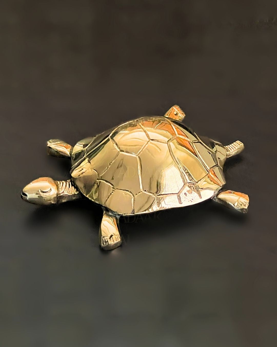 tortoise_bulgde
