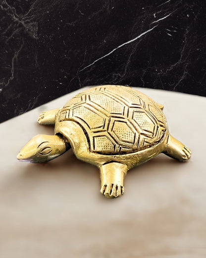 tortoise_moving_head