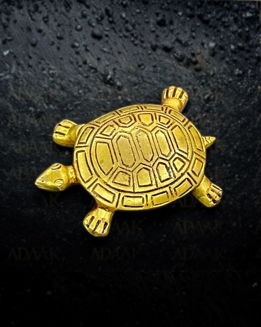 tortoise_rectangular_box