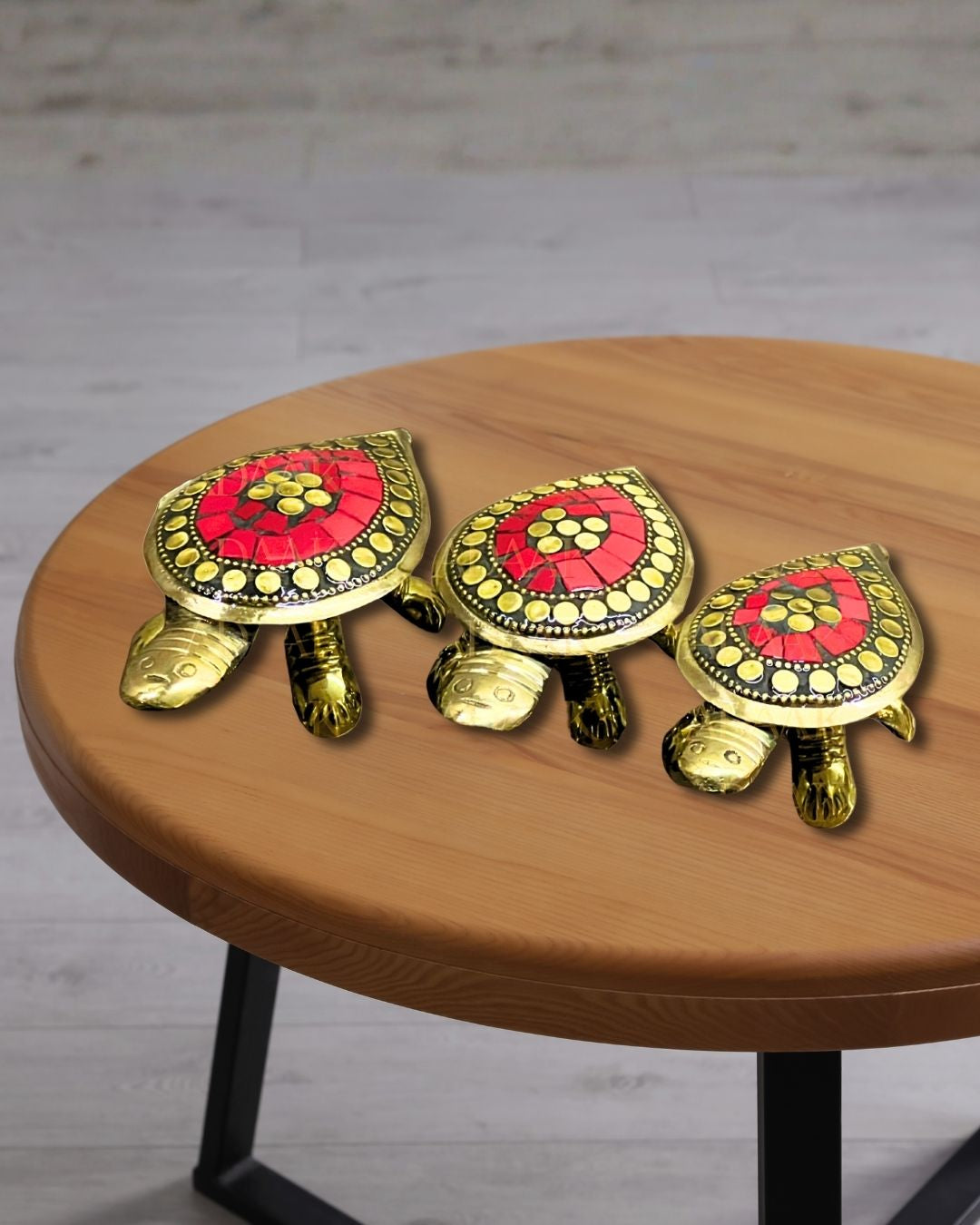 tortoise_red
