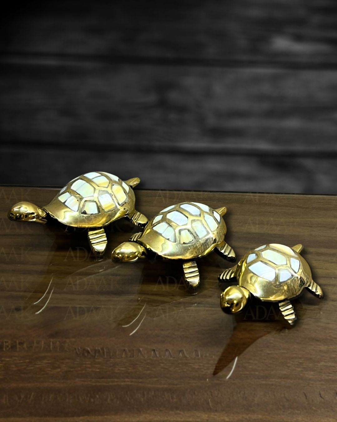 tortoise_silver