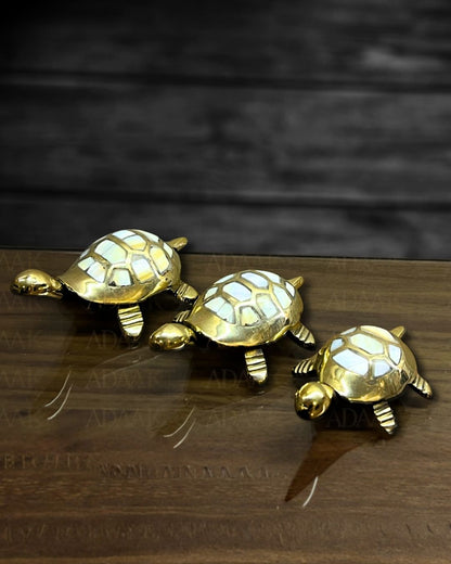 tortoise_silver