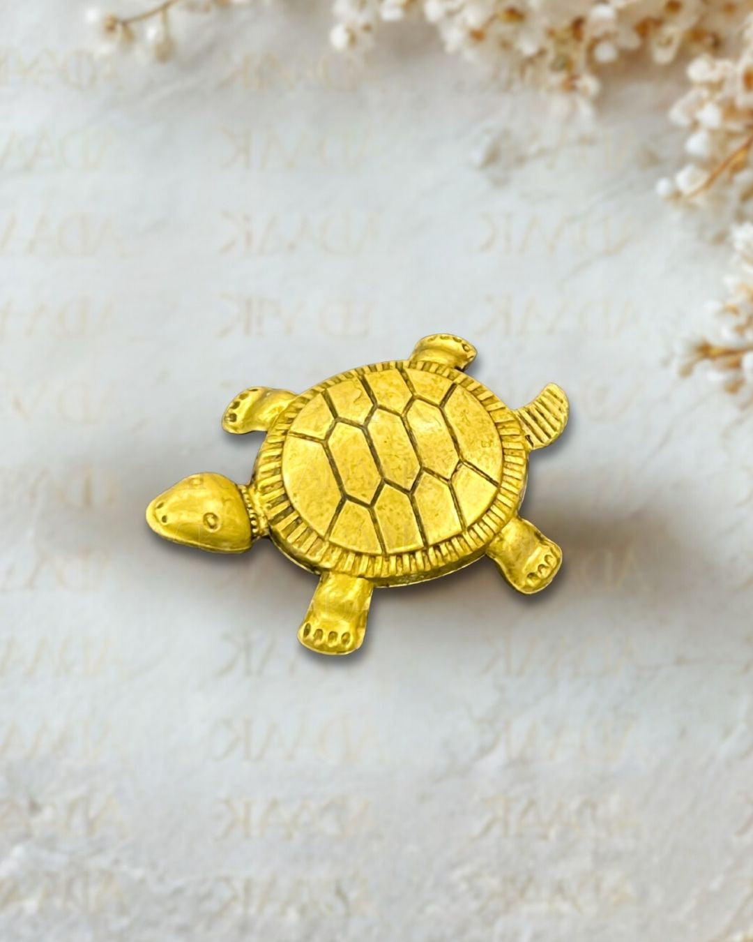 tortoise_v_mini