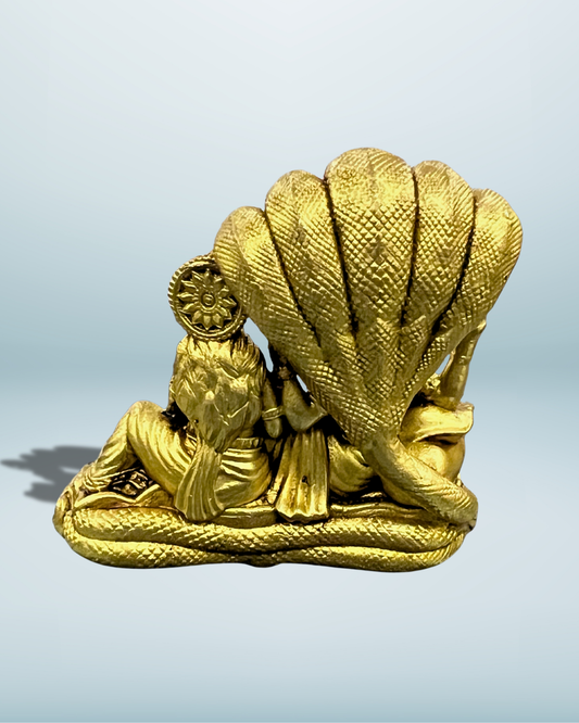 vishnu_lakshmi_medsize_back